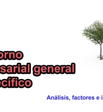 El entorno empresarial general y específico