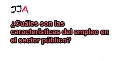 ¿Cuáles son las características del empleo en el sector público?