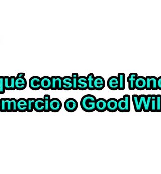 ¿En qué consiste el fondo de comercio o Good Will?